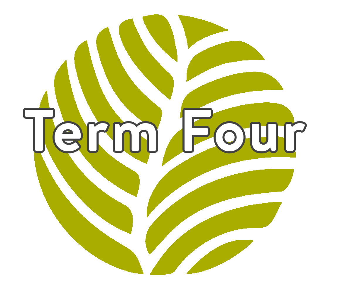Term Four Willow